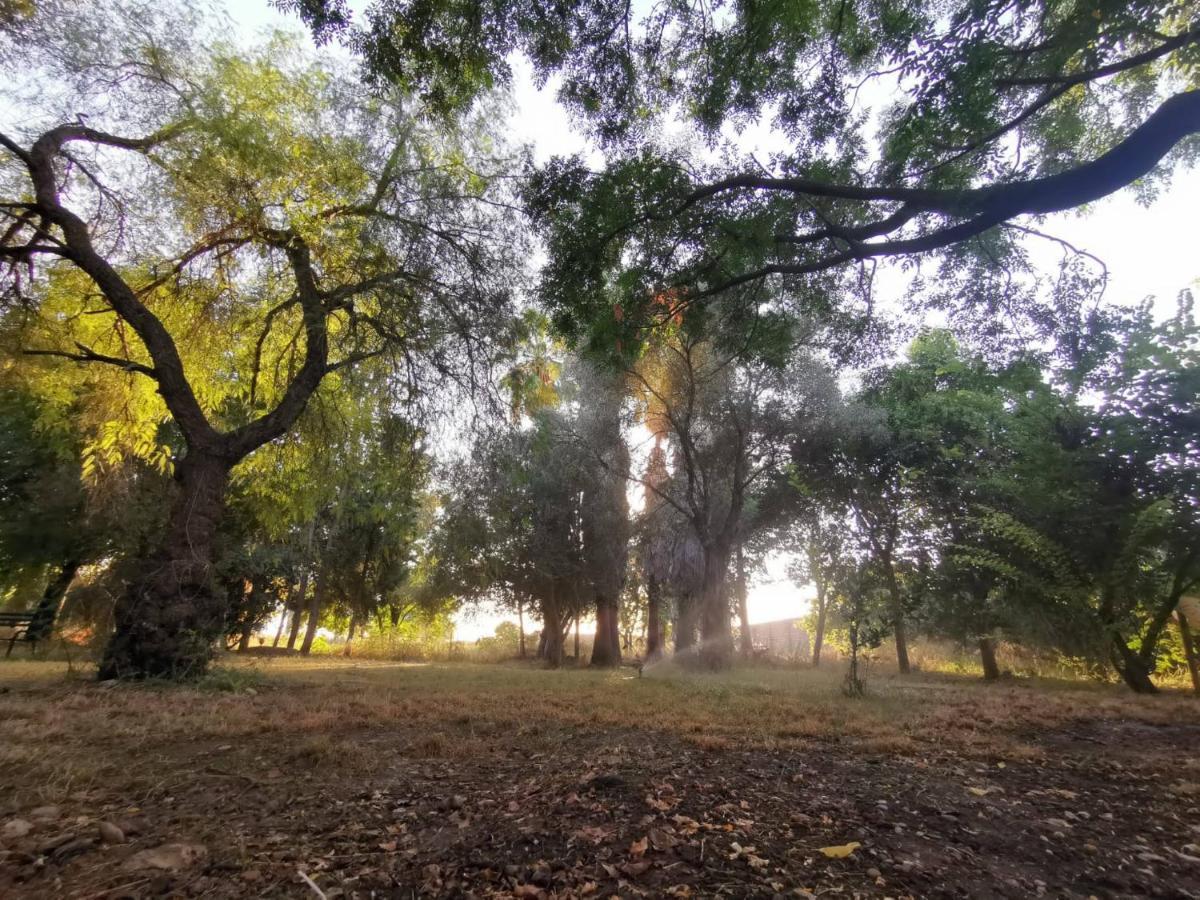 Finca El Naranjo เซบีญา ภายนอก รูปภาพ